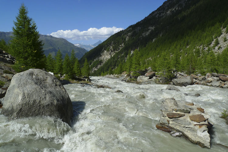Durenhorn15