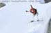 NF-alain-blanc-final2010