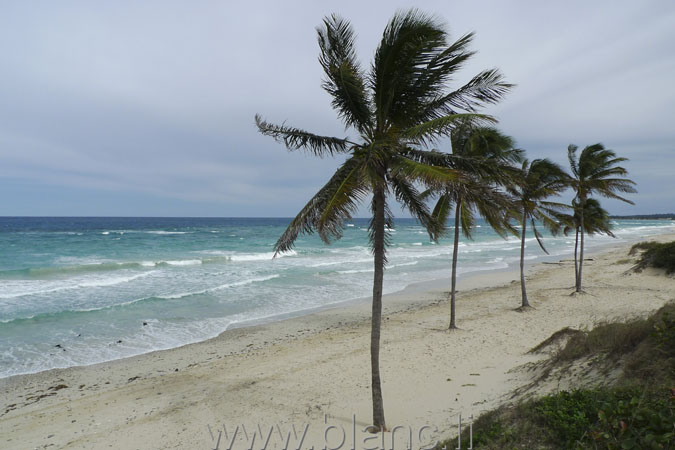 Cuba-2010-1032