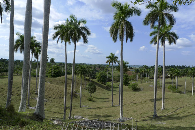 Cuba-2010-1036